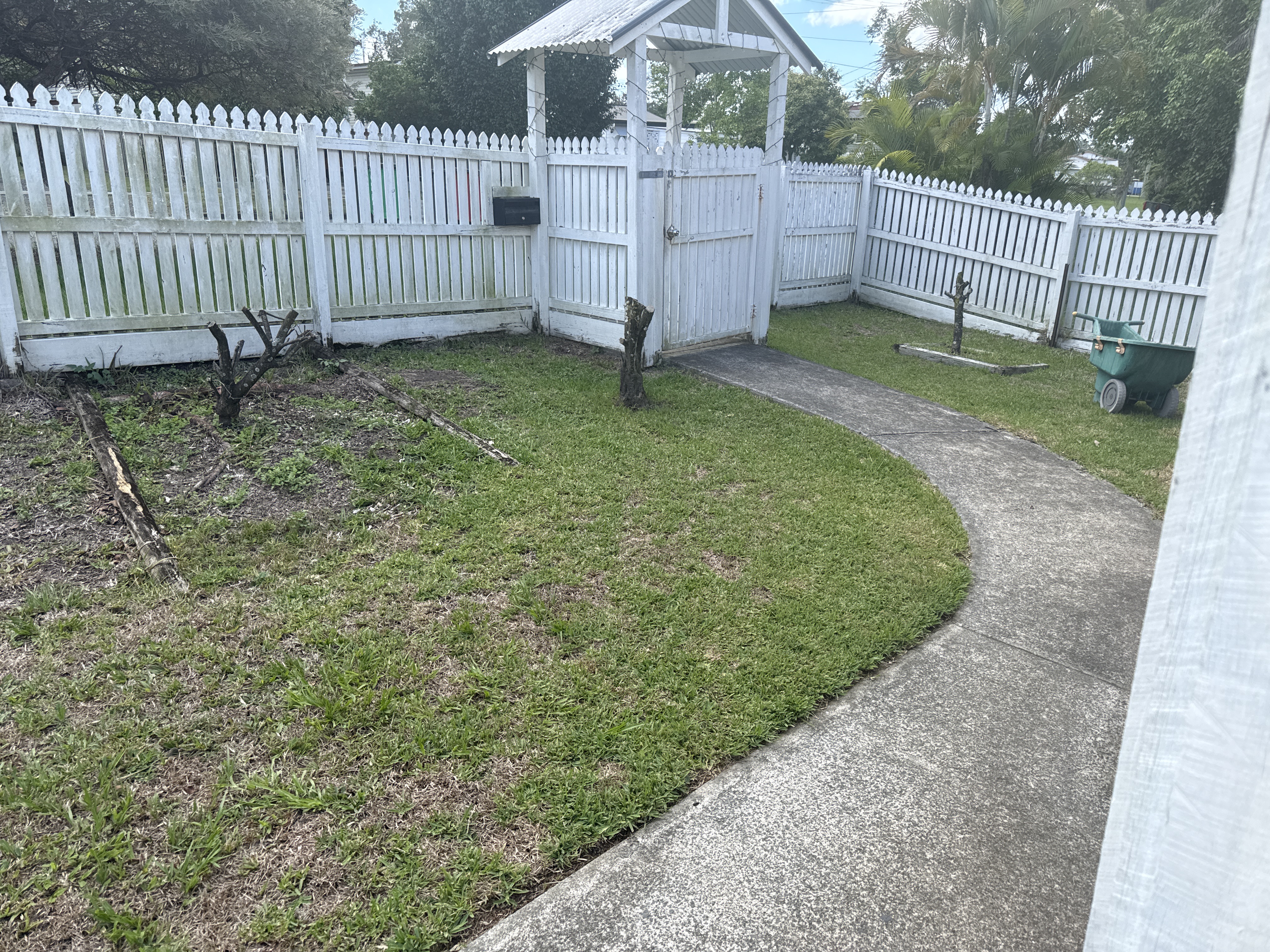 image-19