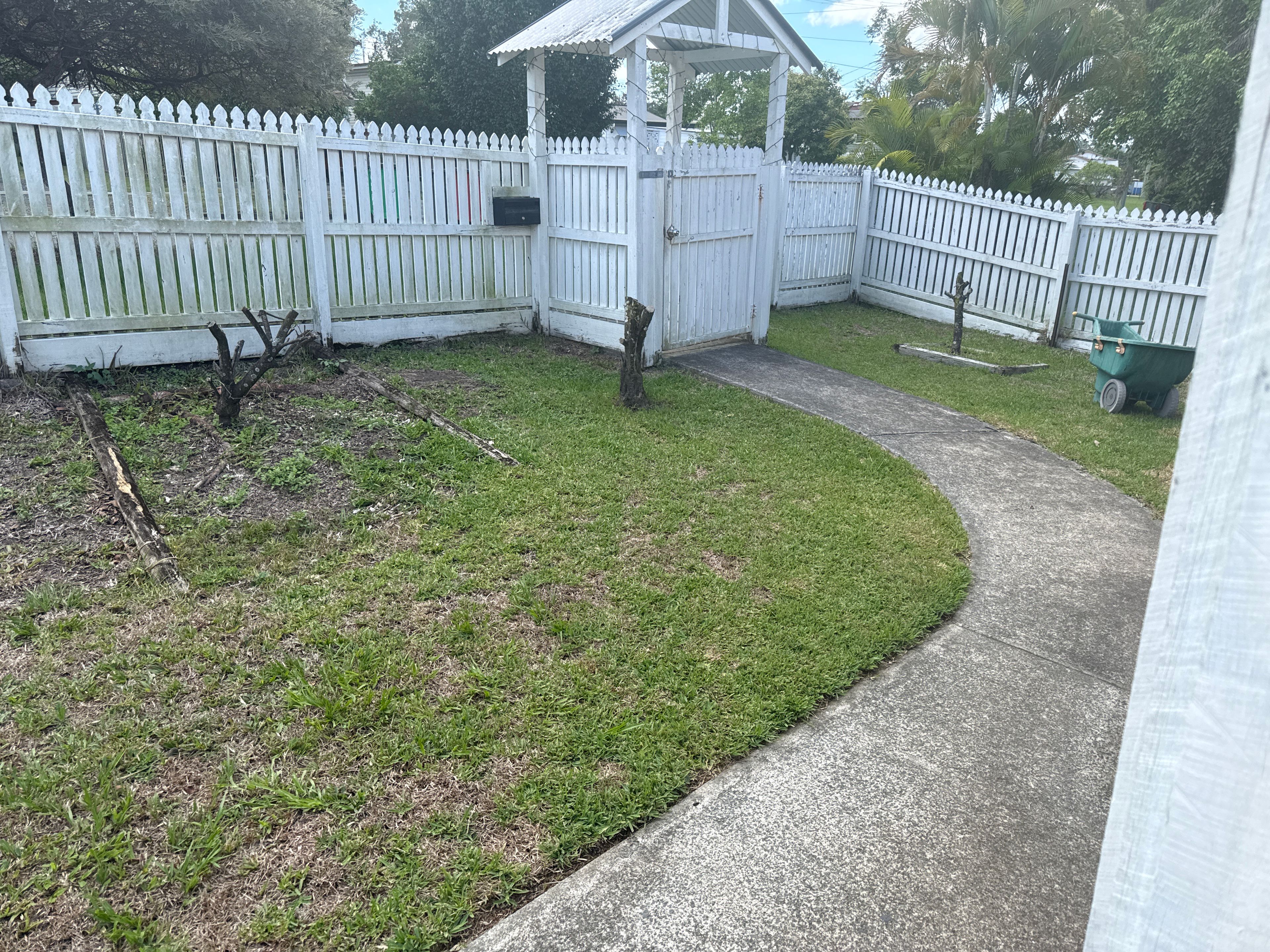 image-19