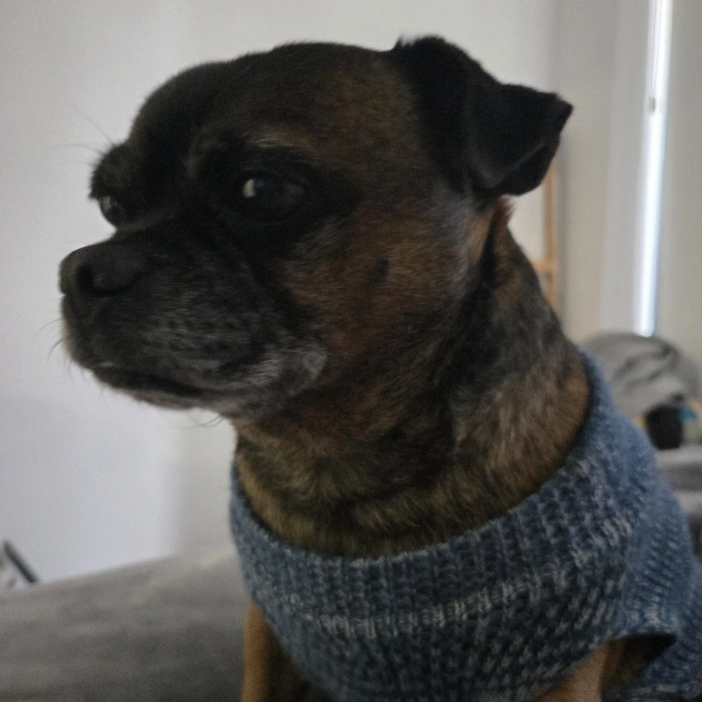 Nacho