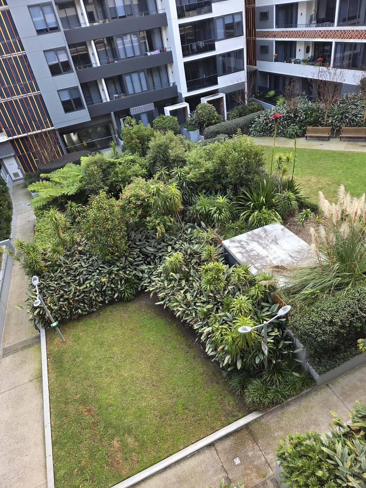 image-12