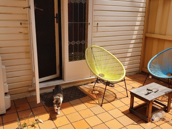 image-11