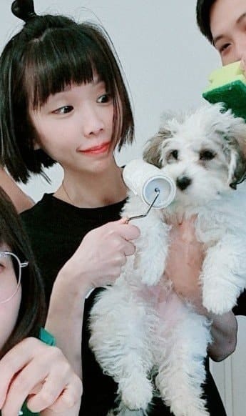 image-0