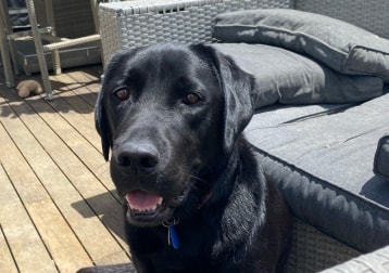 Max
