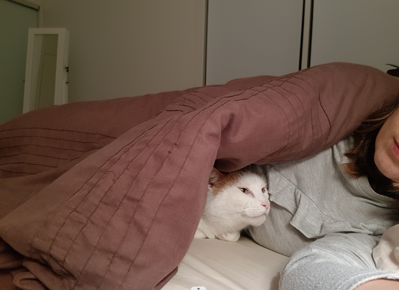 image-7