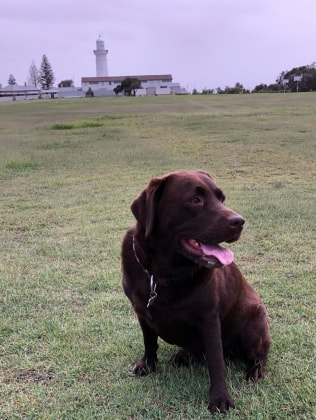 image-15