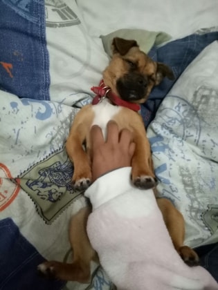 image-3