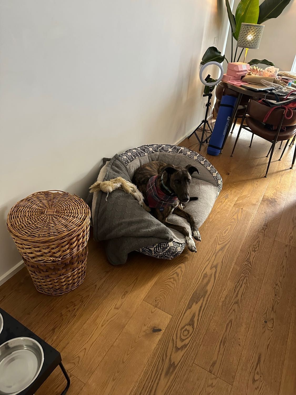 image-7