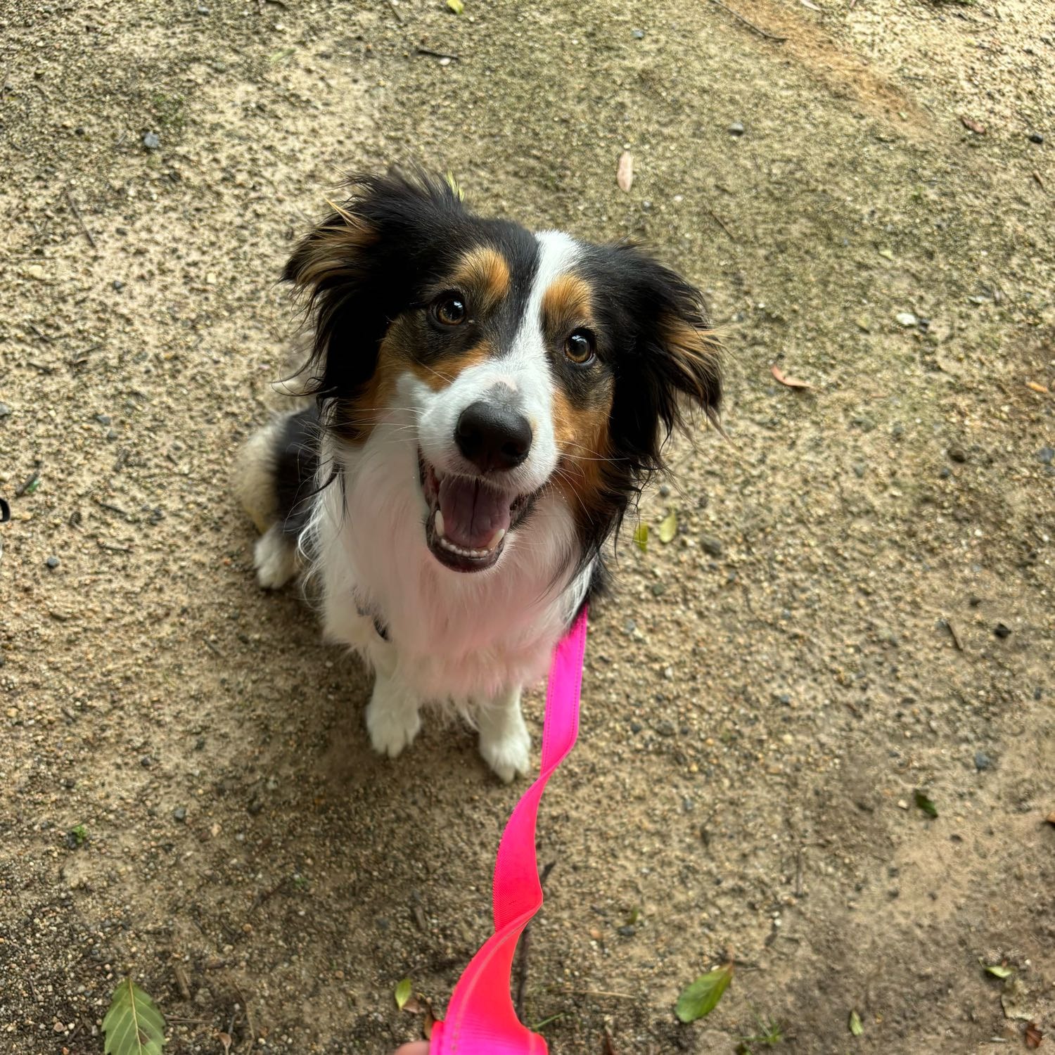 Winnie 