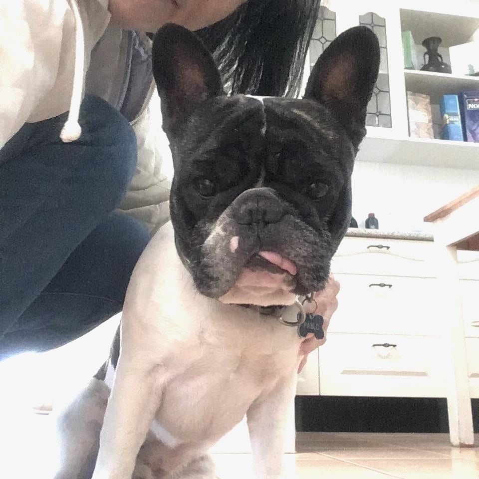 Pablo
