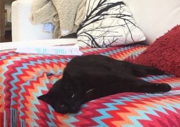 Rico