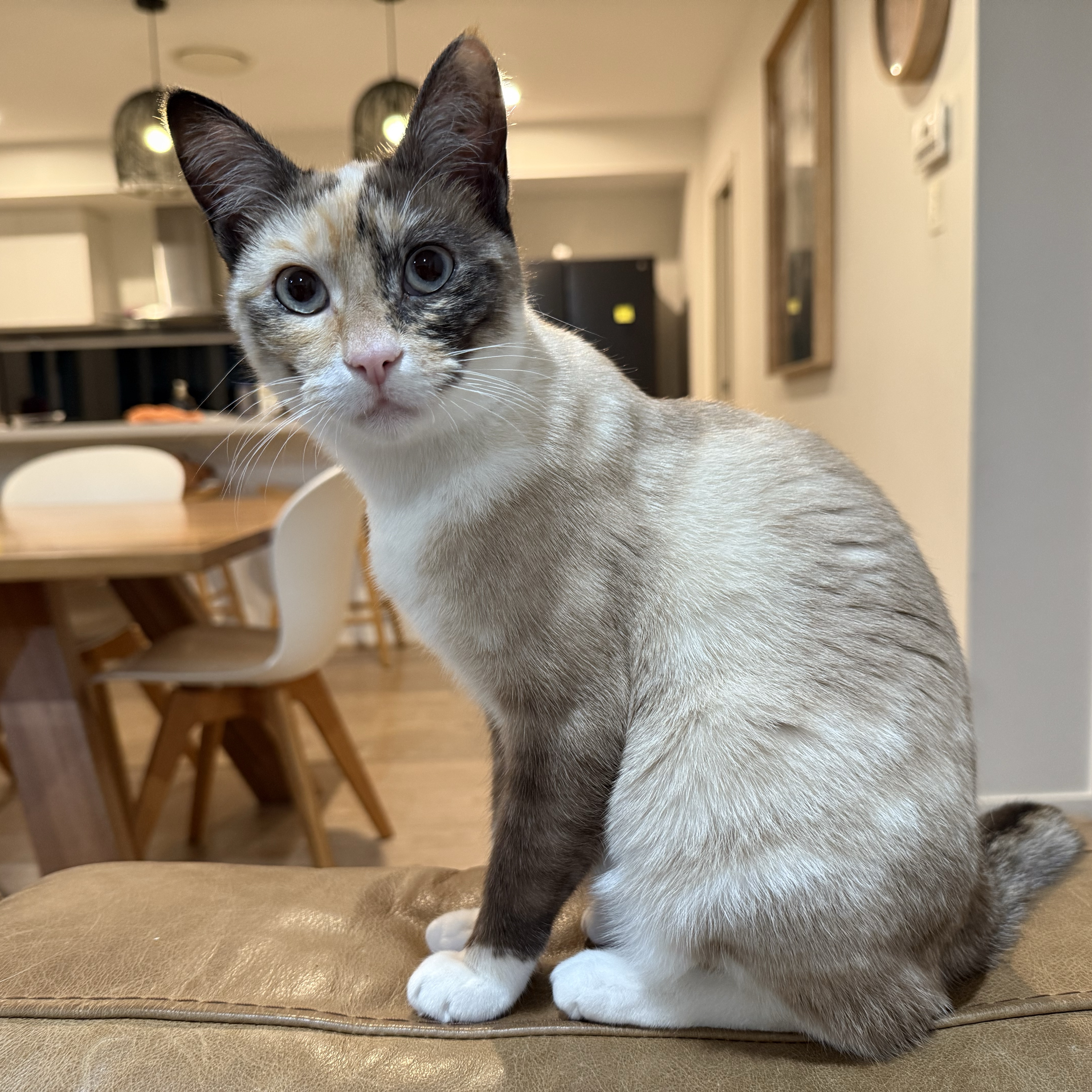 Luna