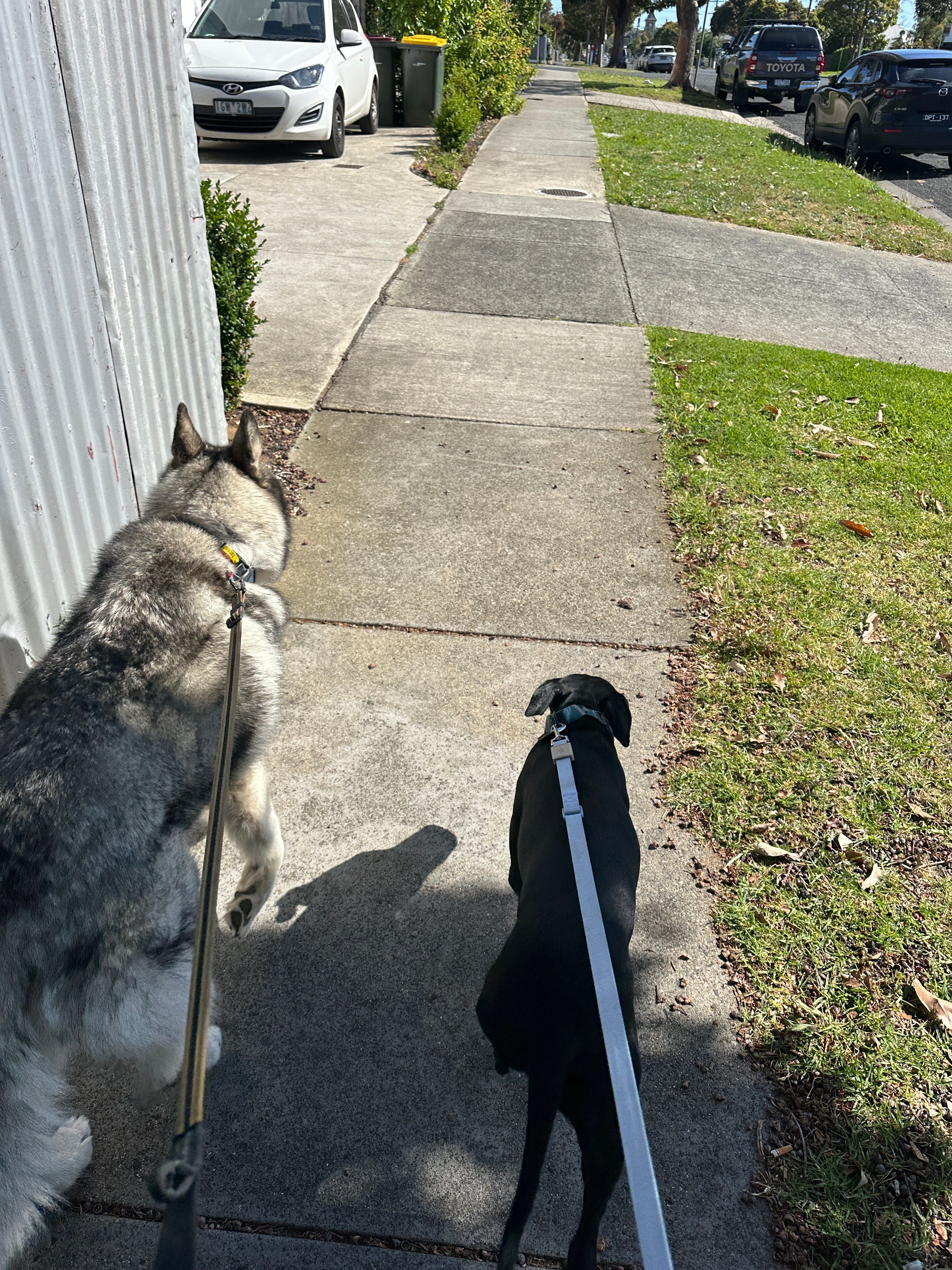 image-19