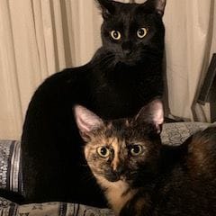 Frankie and Min Min
