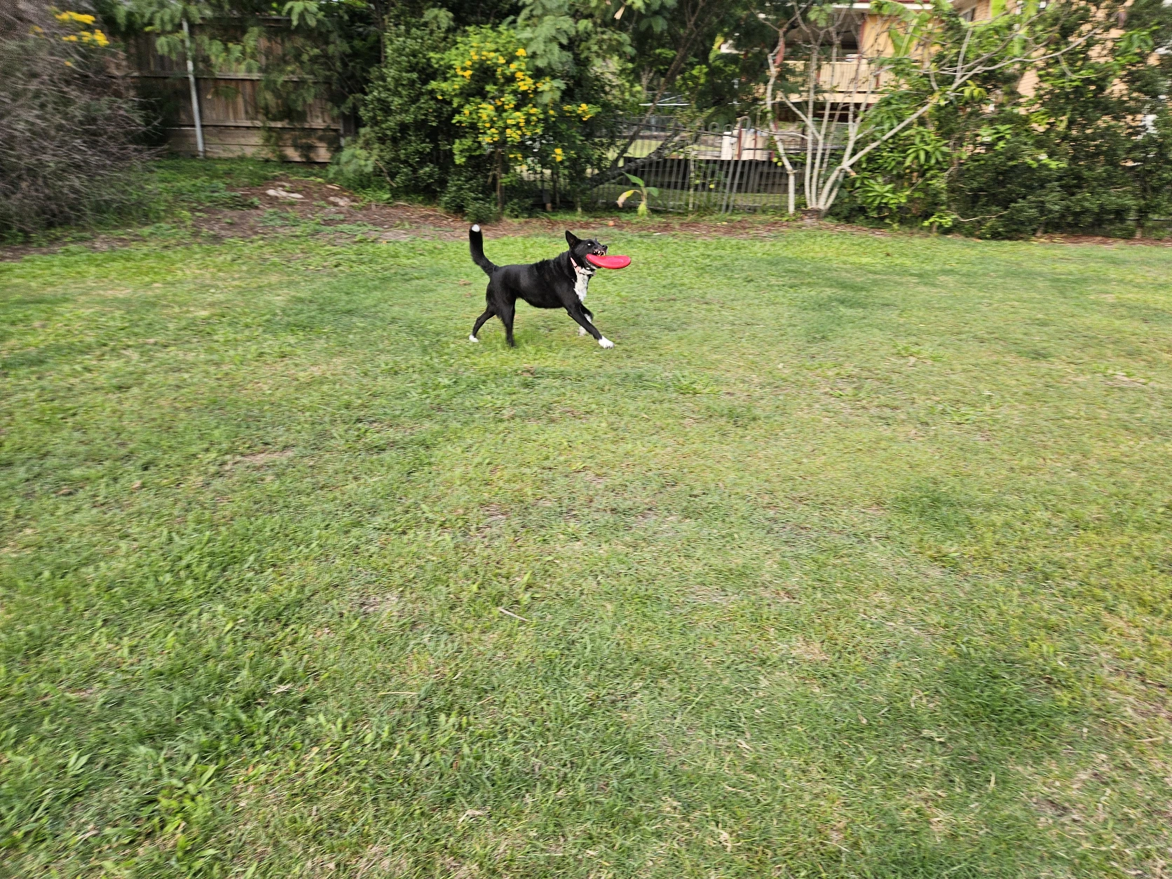 image-34