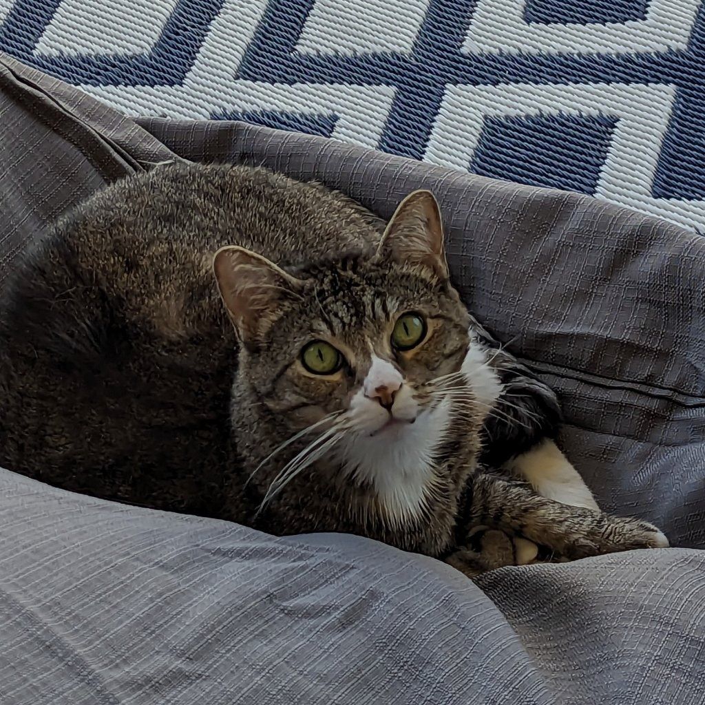 Artemis