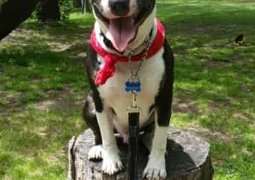 Inspector Randal Hamilton Barker