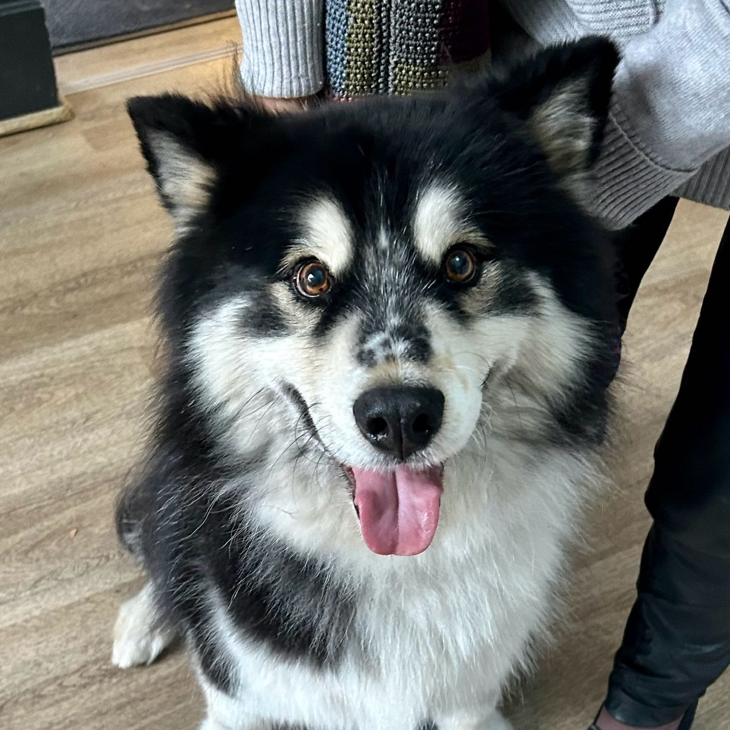 Kenji