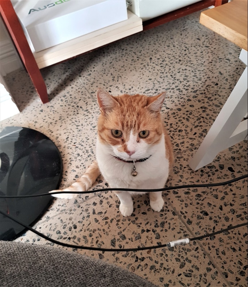 image-12
