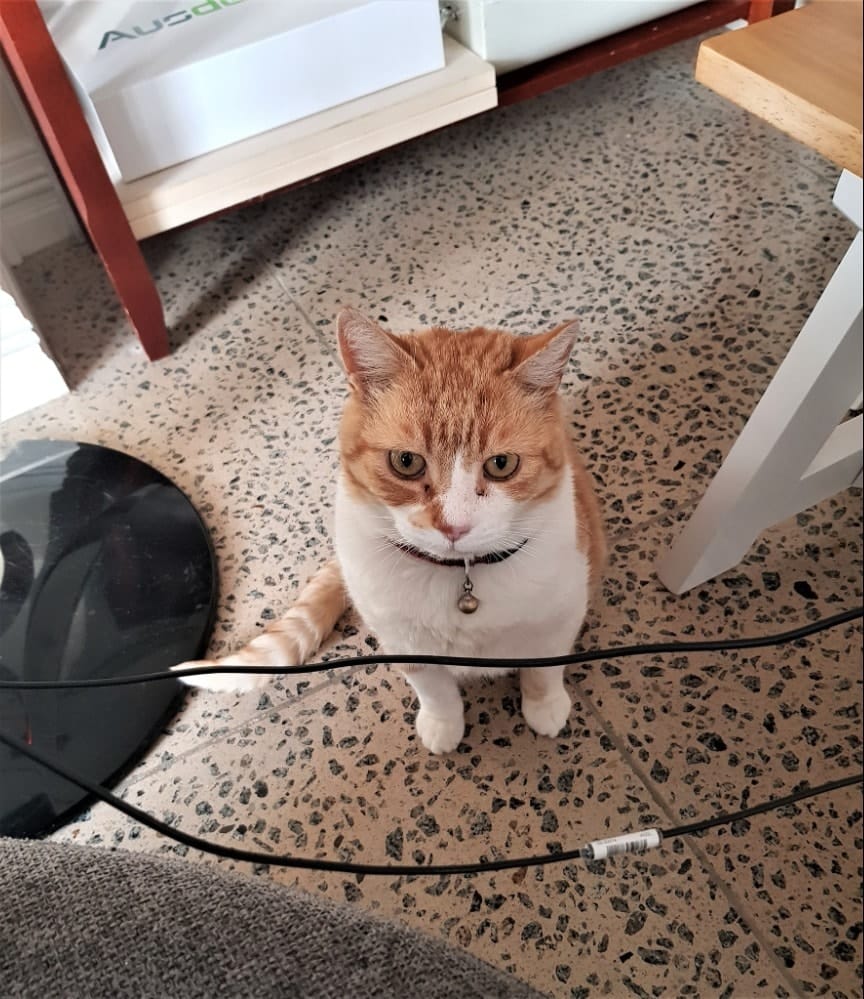 image-12