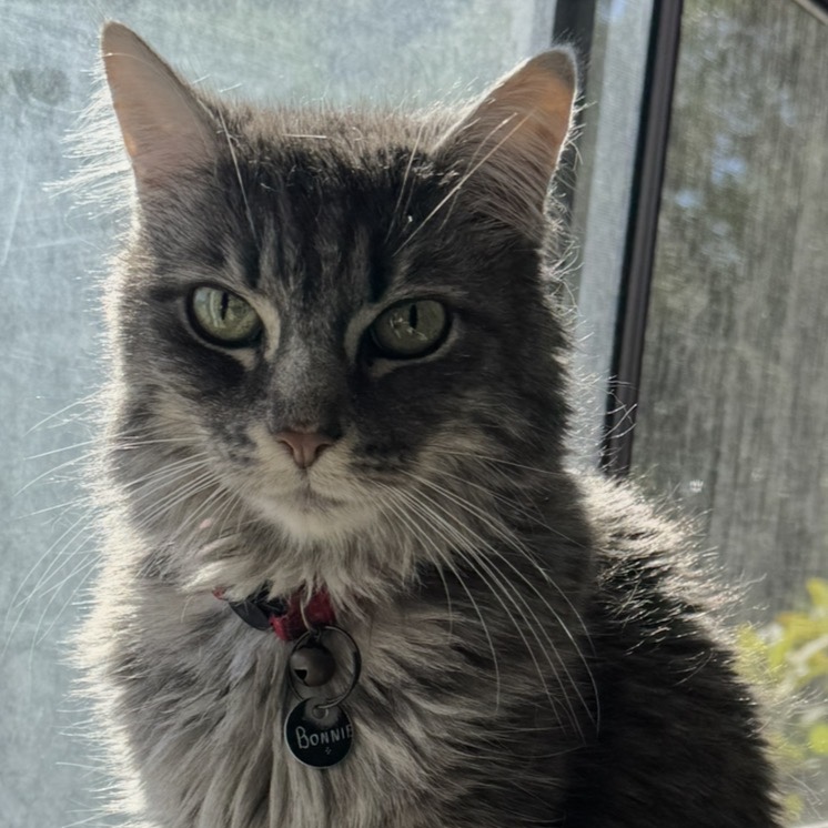 Bonnie