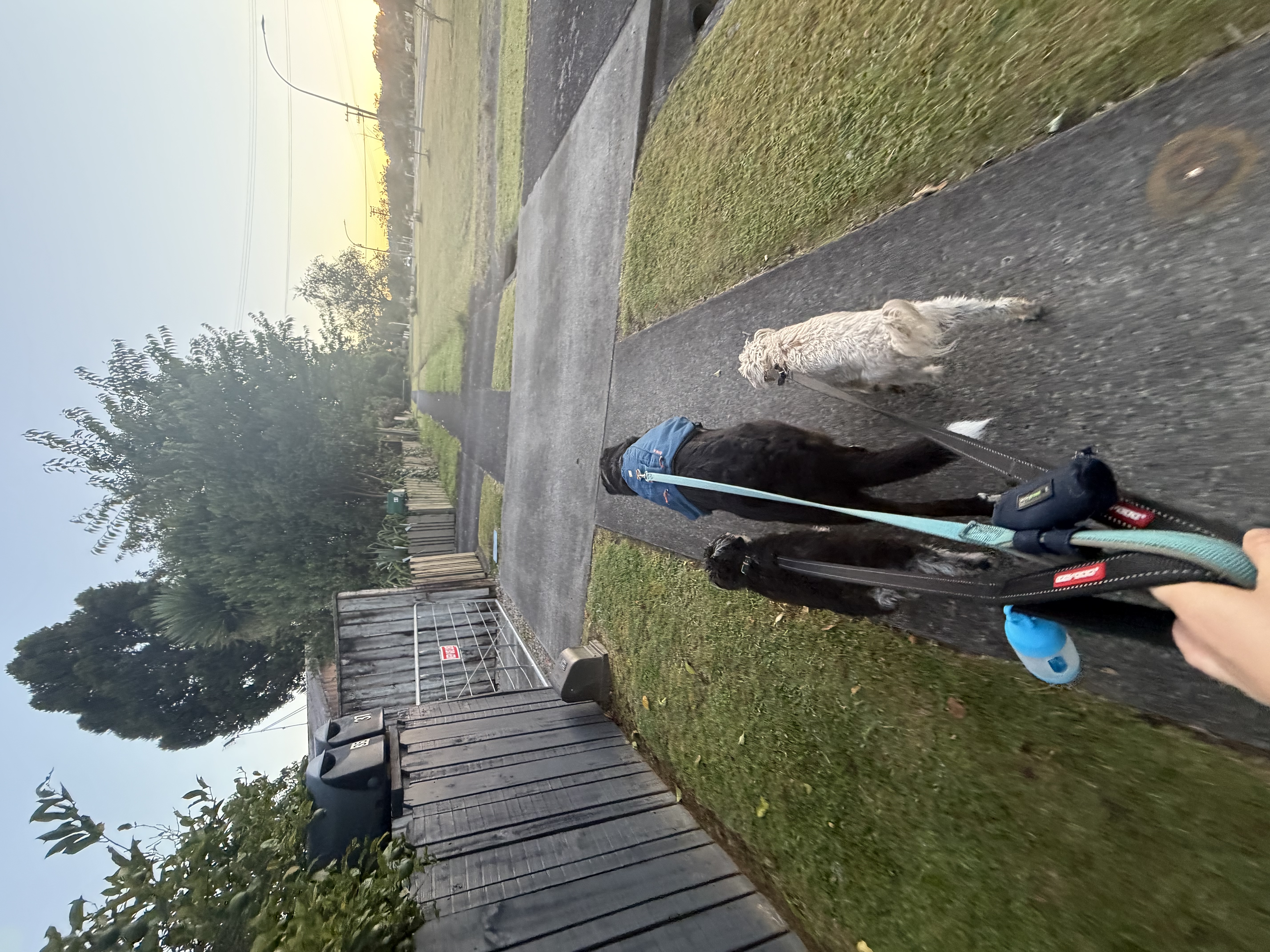 image-14