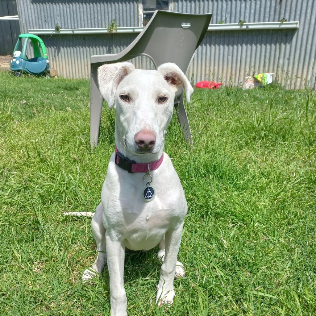 Luna