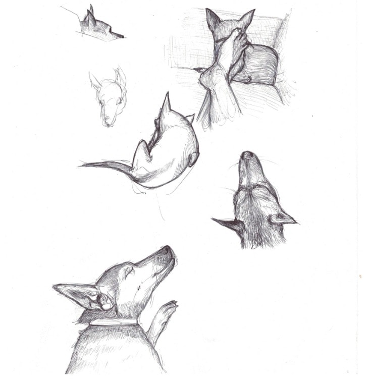 image-13