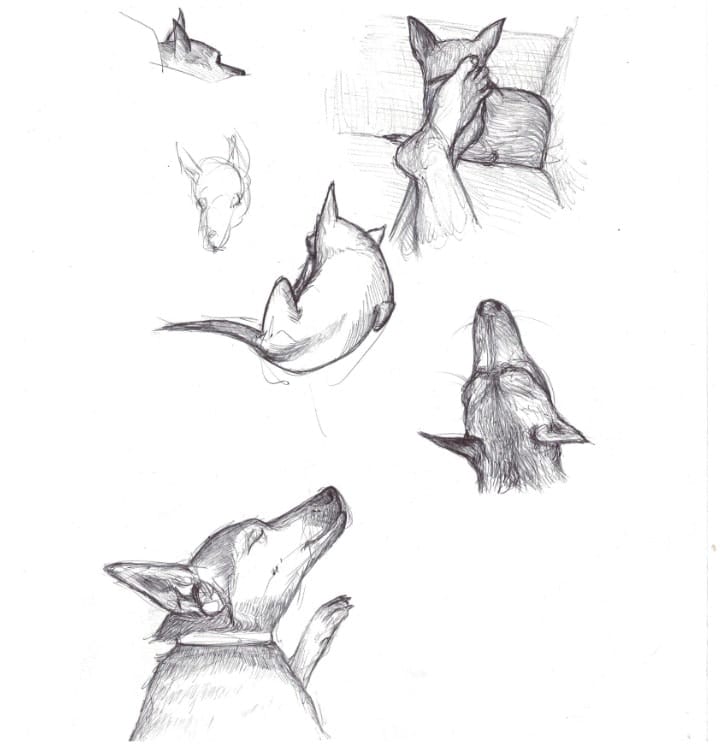 image-13