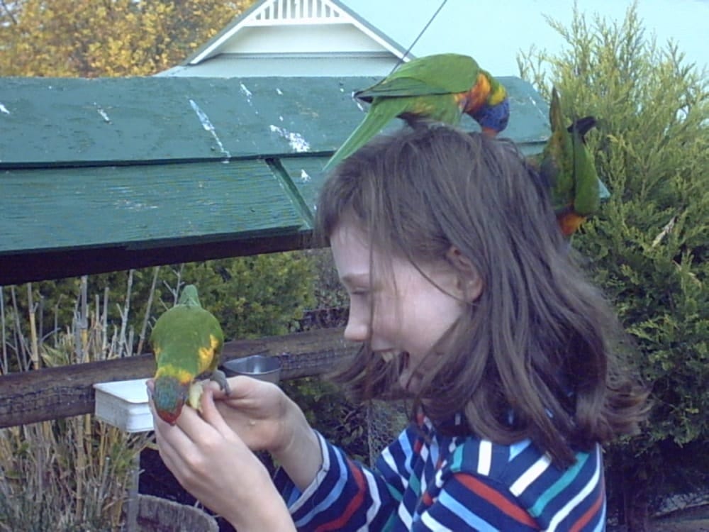 image-8