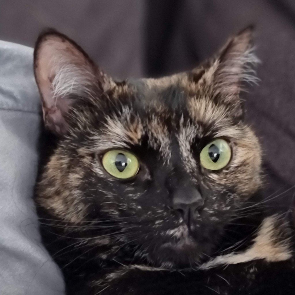 Pepper