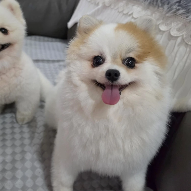 Yuki