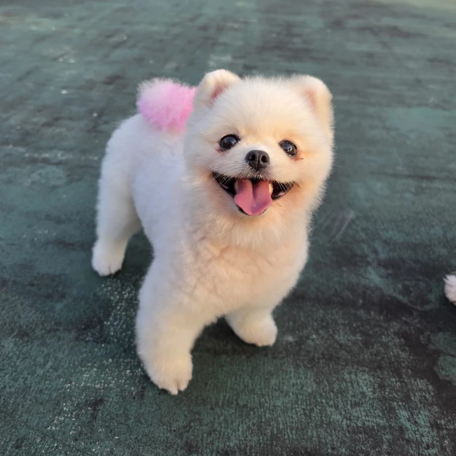 Yumi