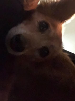 image-5