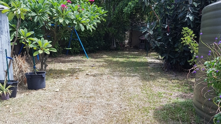 image-18