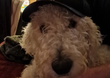 George