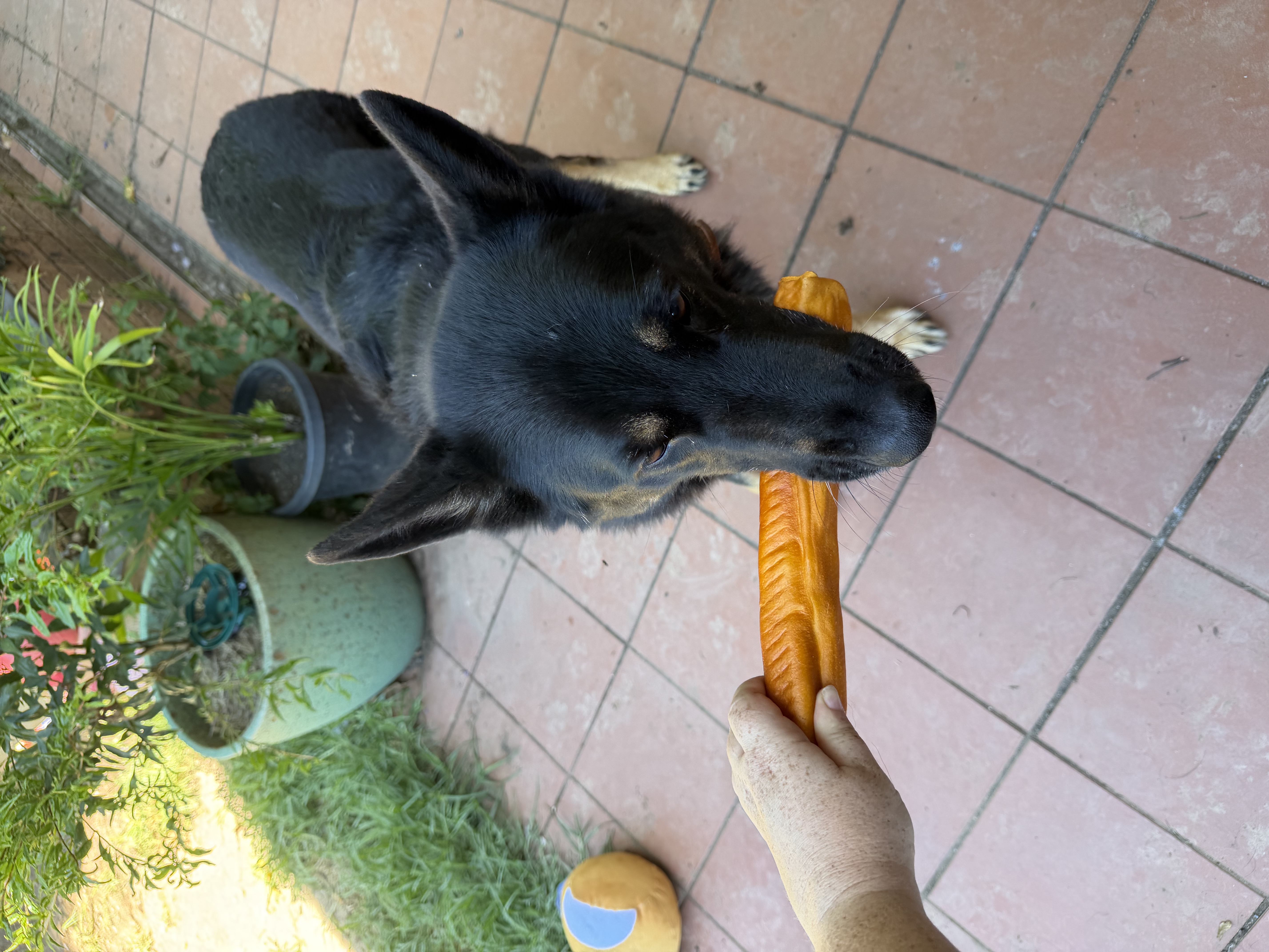 image-47