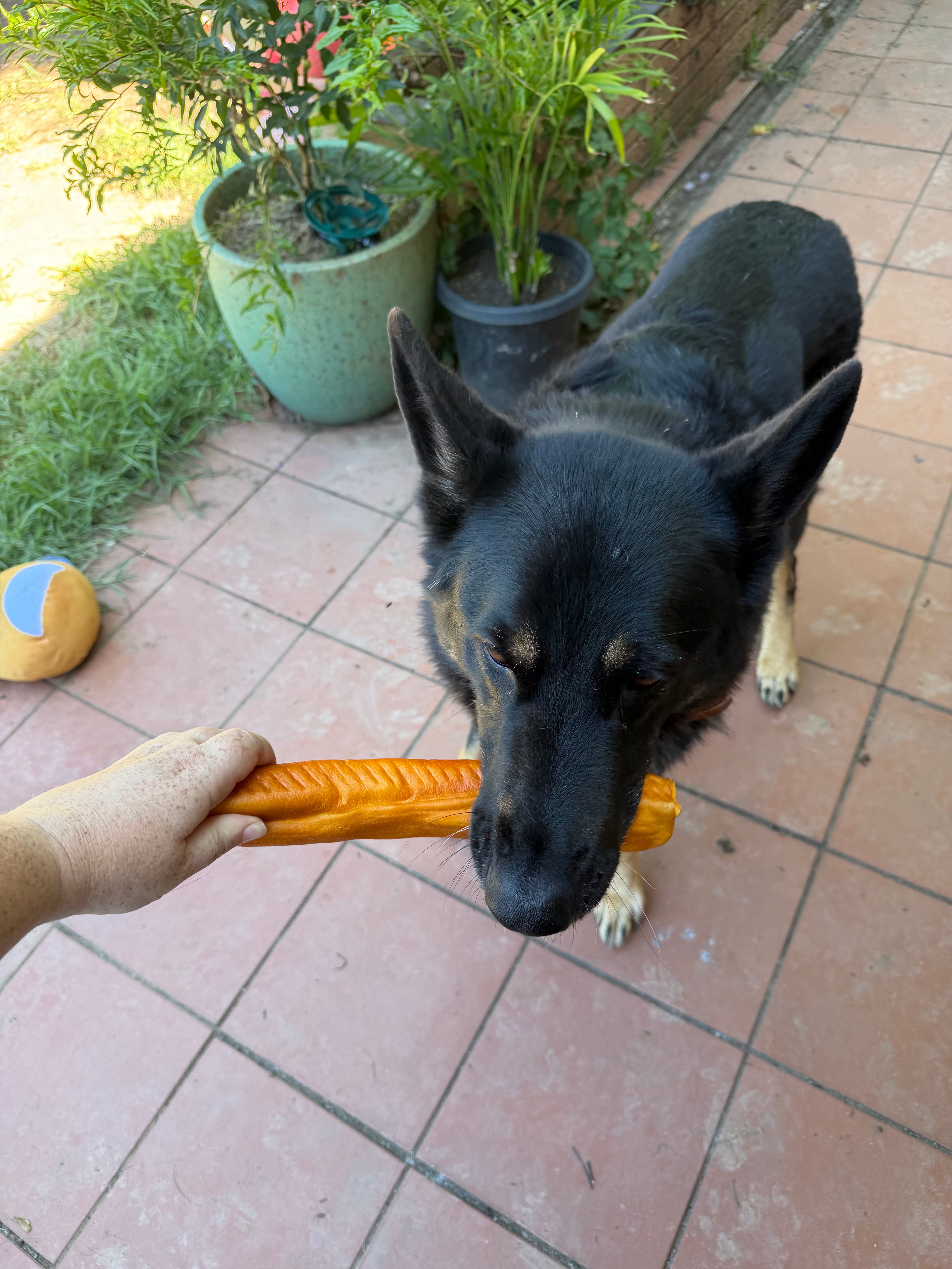 image-47
