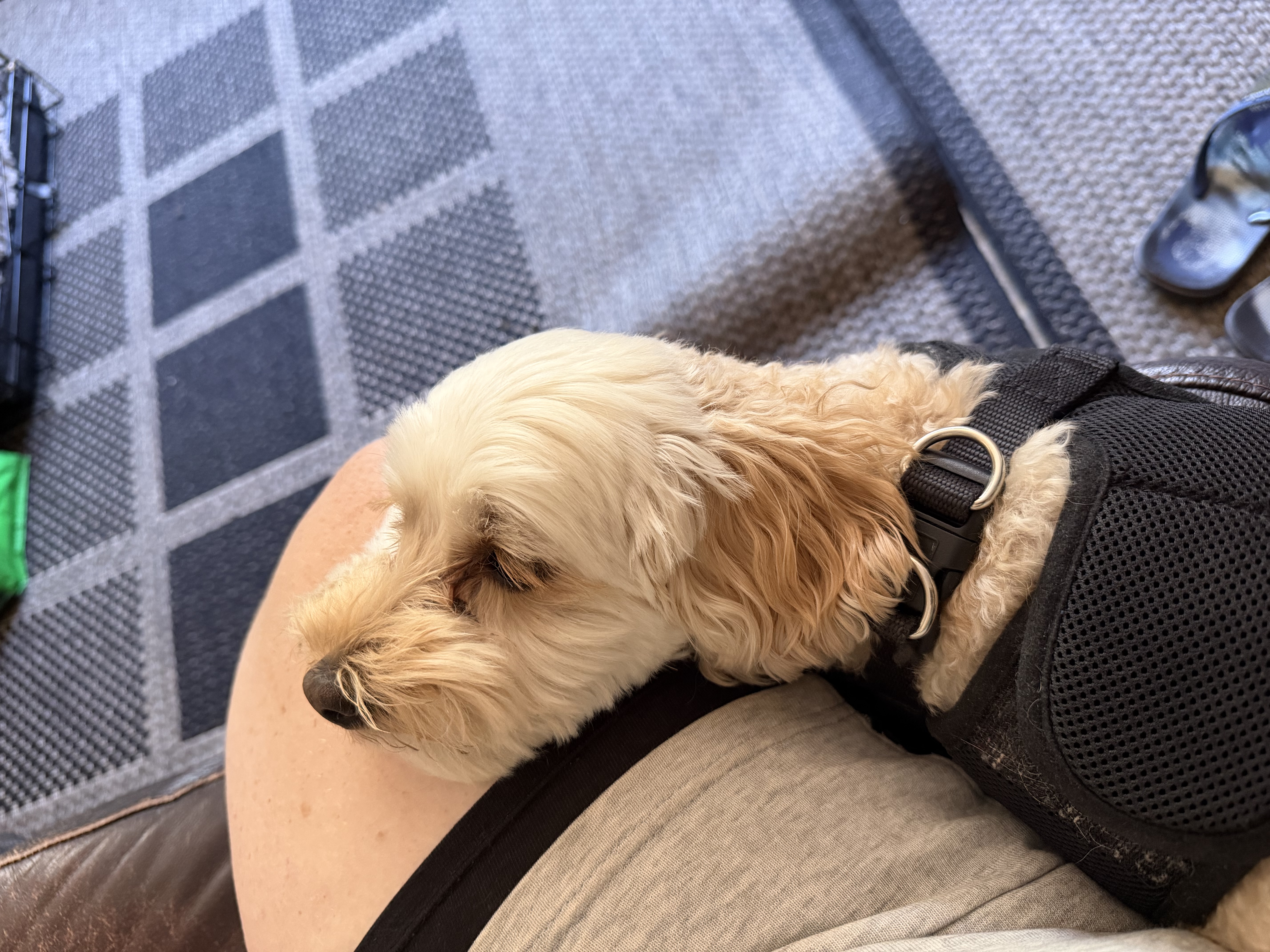 image-8