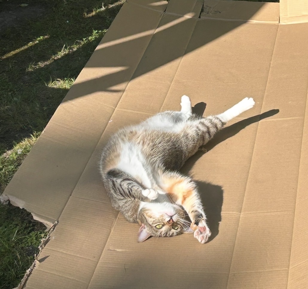 image-6