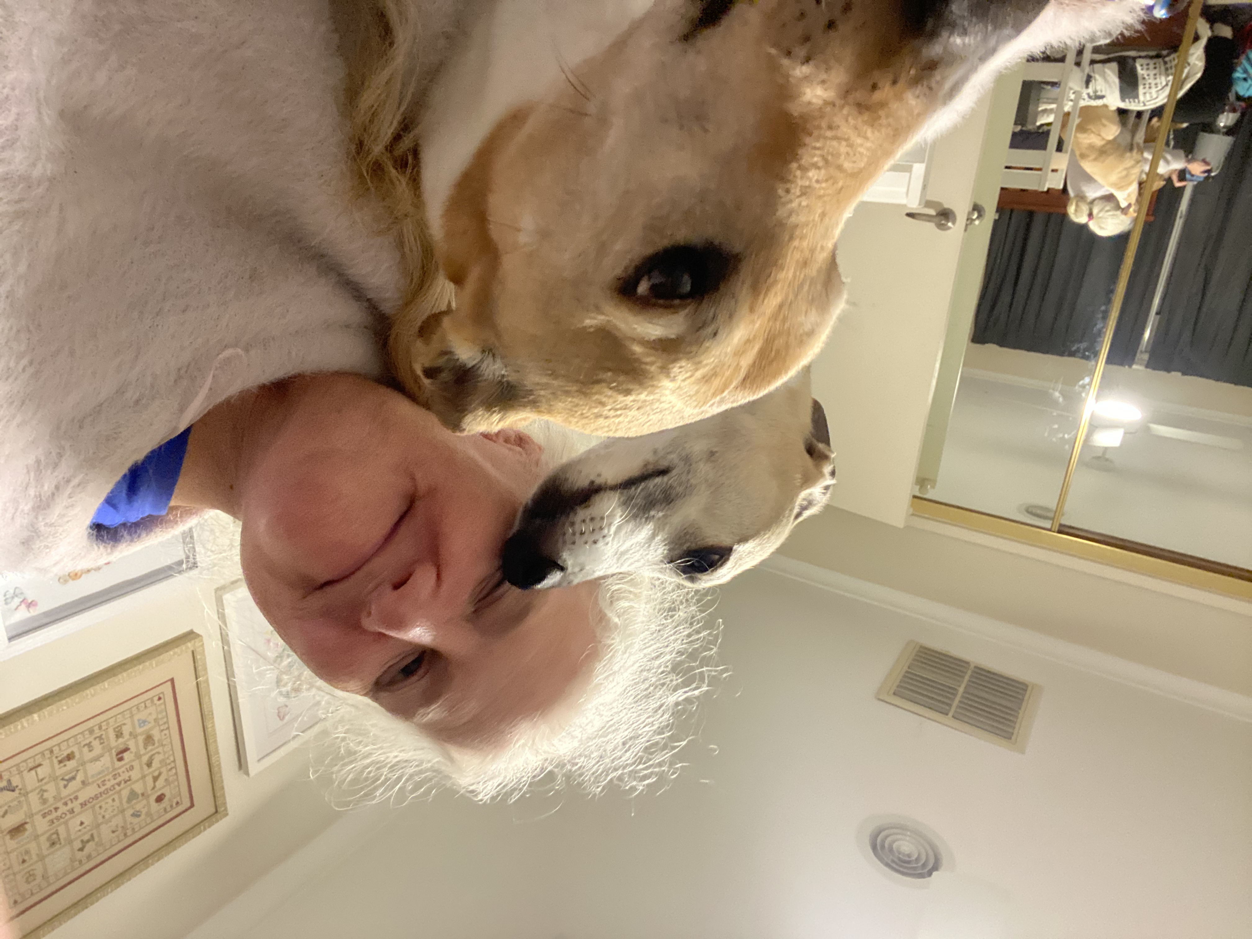 image-16