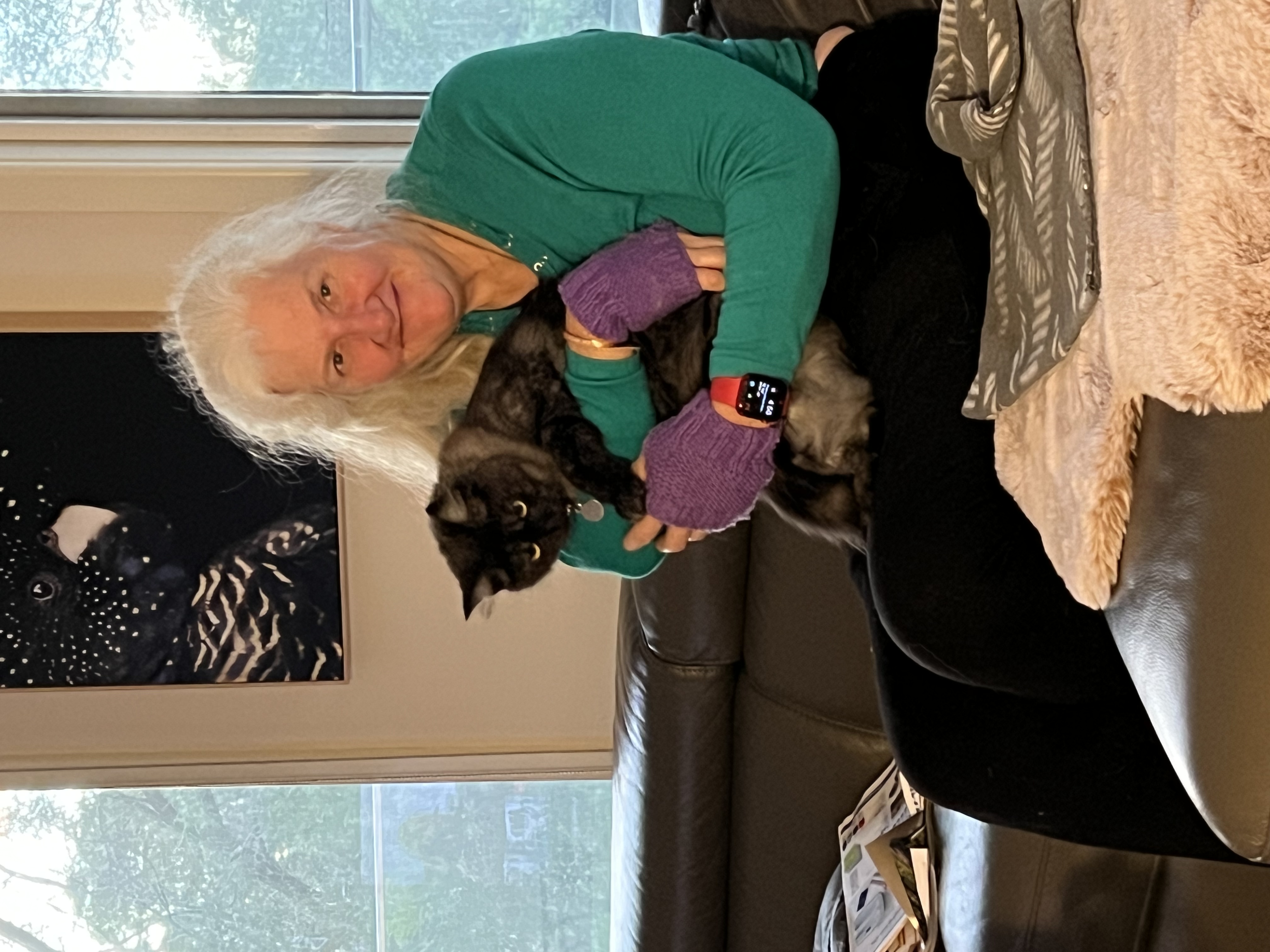 image-17