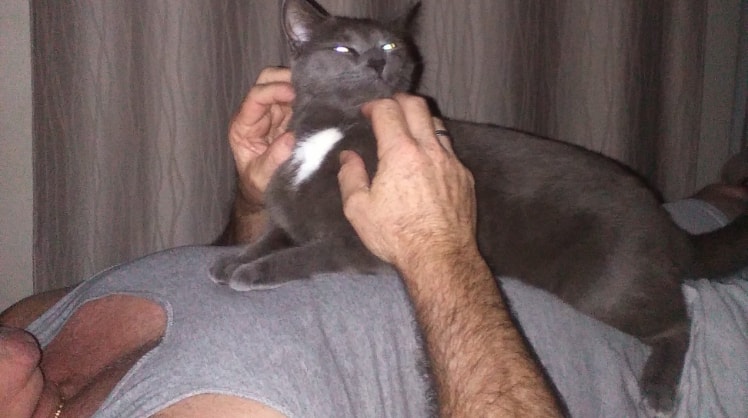 image-50