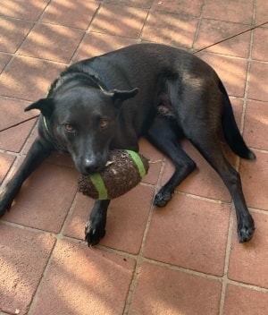 image-6