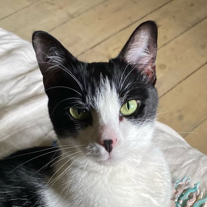 Leeloo