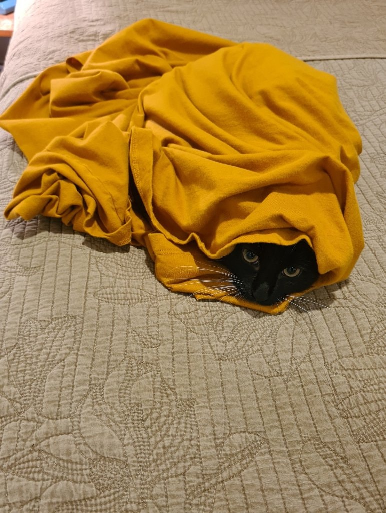 image-6