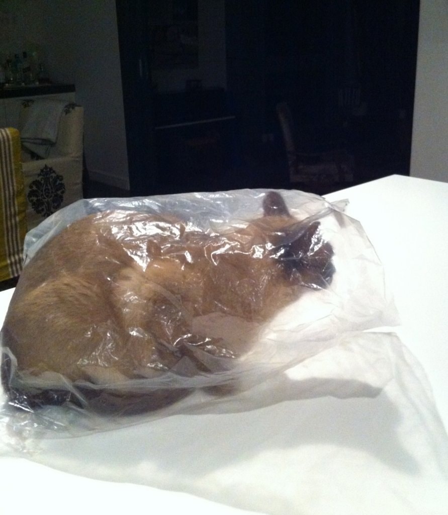 image-5