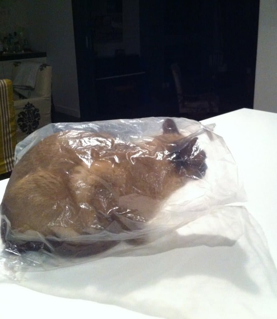 image-5