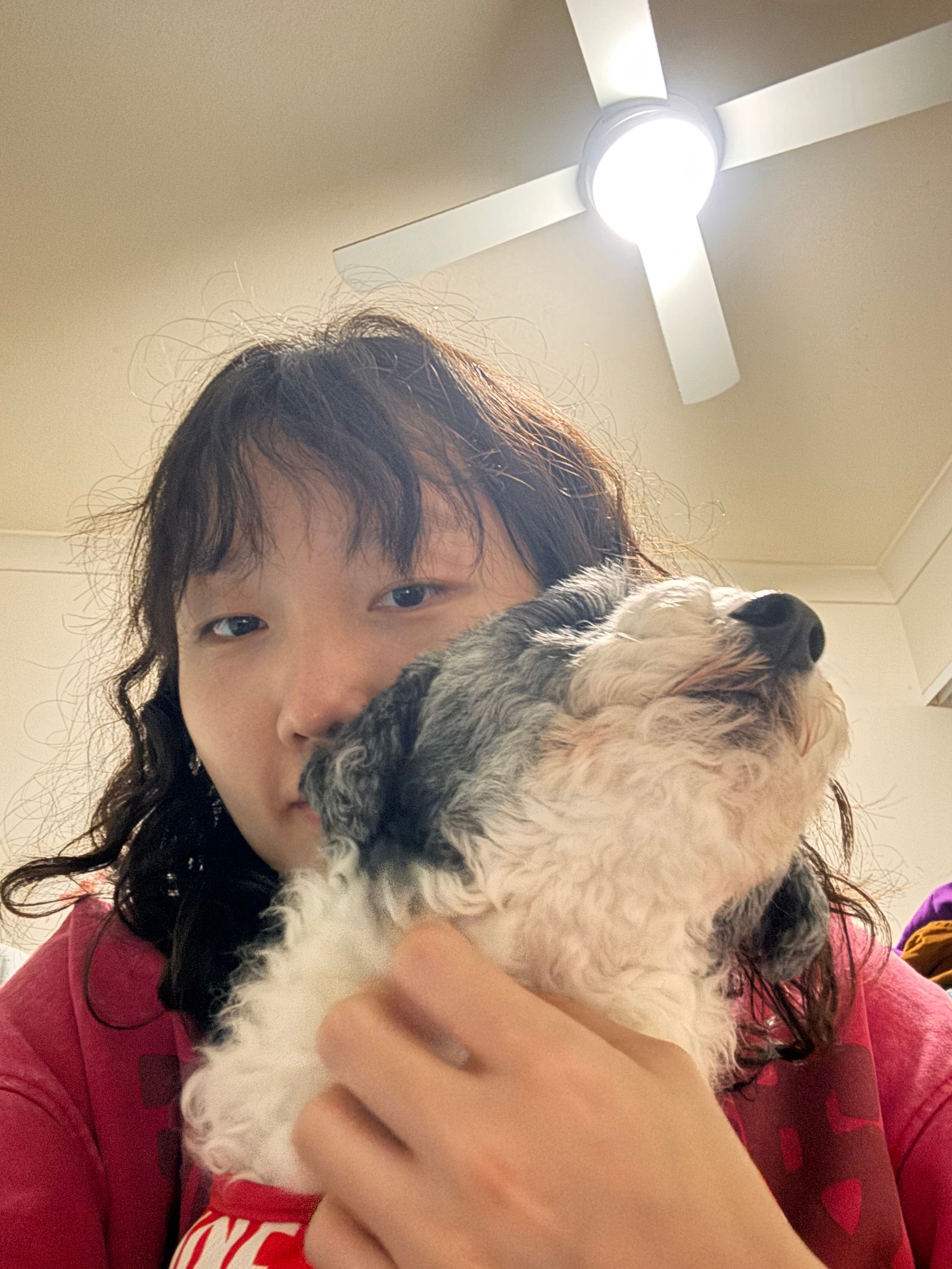 image-8