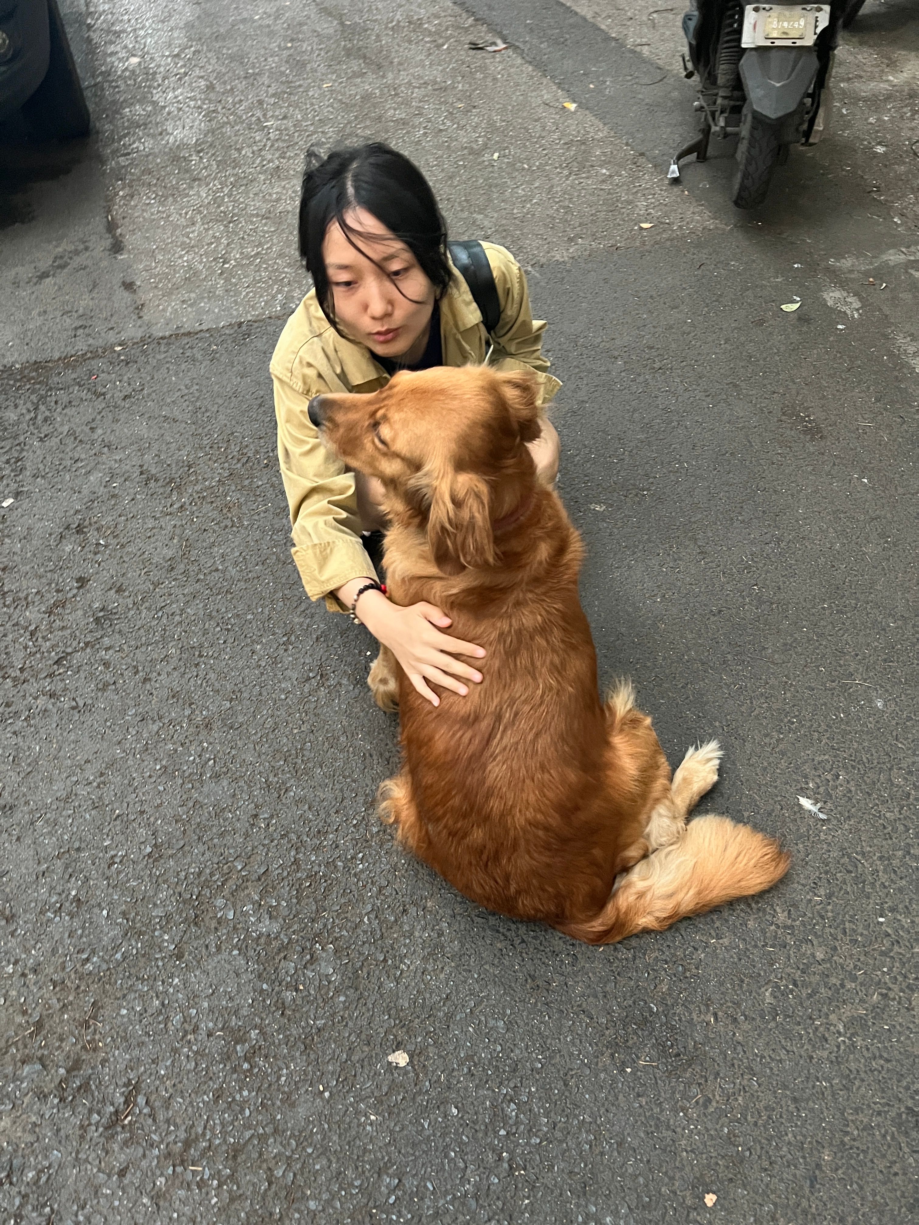 image-9