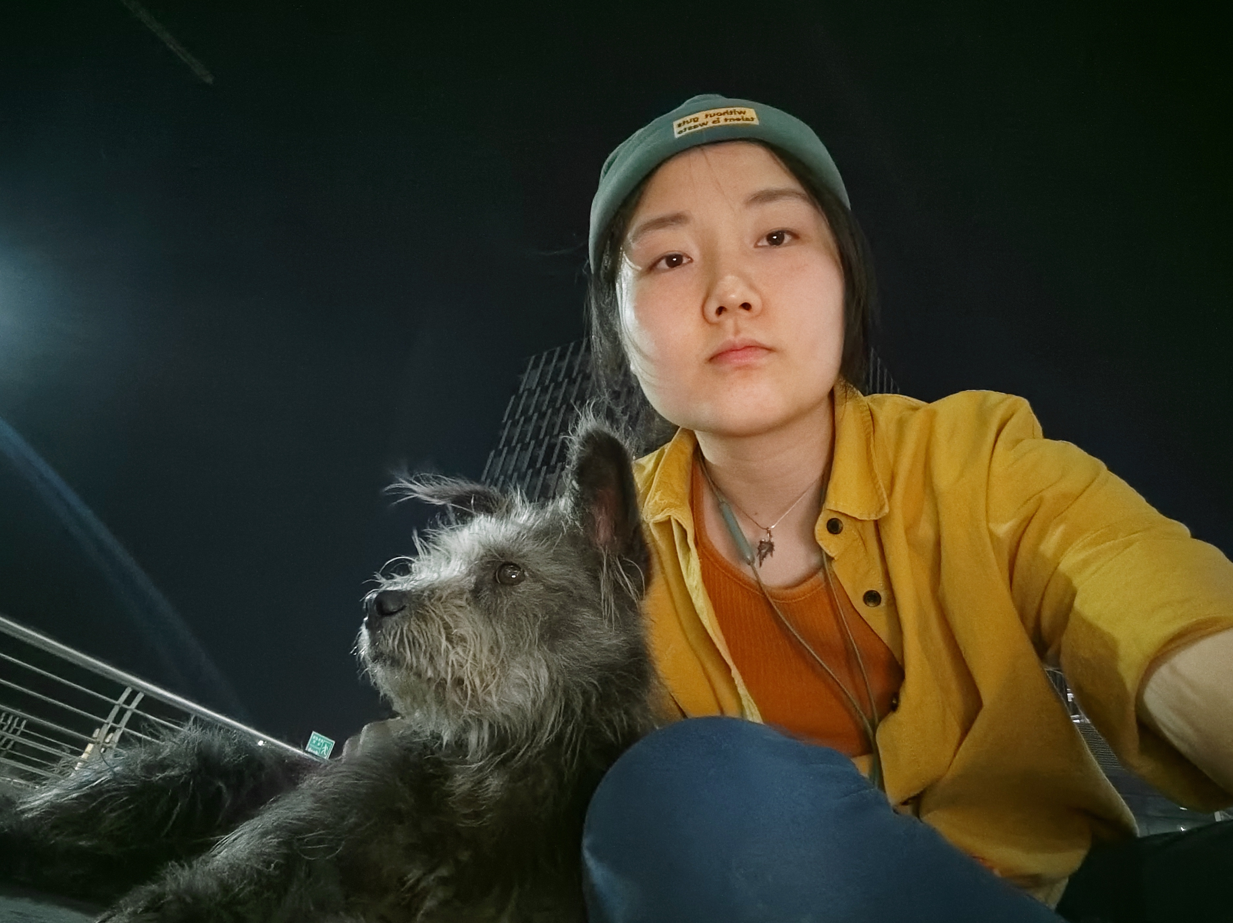 image-7